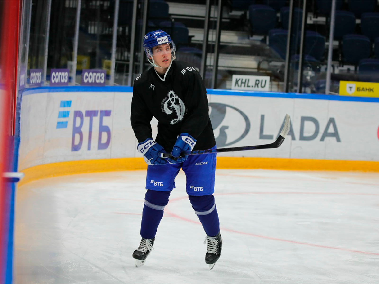 Пополнение рядов нашей стаи!