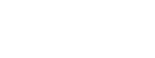 Титульный партнер