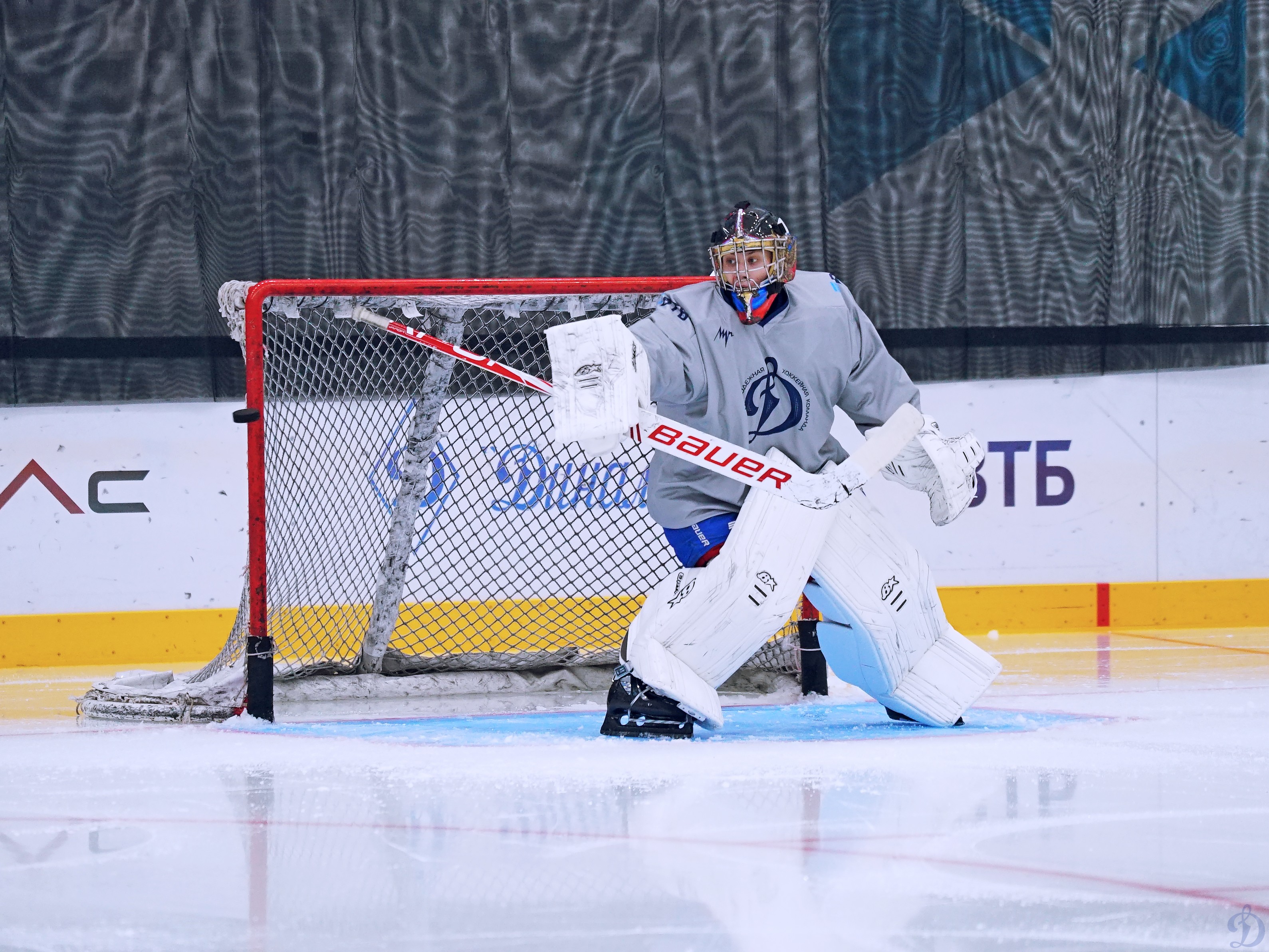 Академия спорта динамо юрия никулина