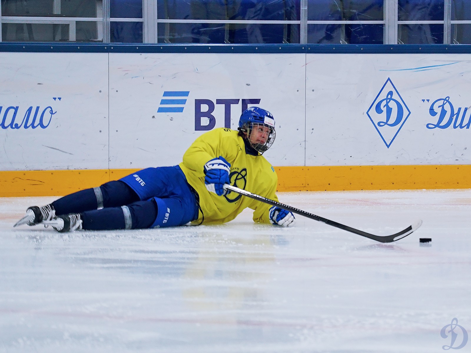 Академия спорта динамо москва