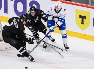 Белые Медведи - МХК Динамо Москва