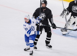 Белые Медведи - МХК Динамо Москва