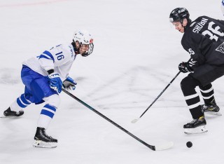 Белые Медведи - МХК Динамо Москва