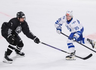 Белые Медведи - МХК Динамо Москва