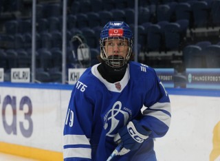 МХК Динамо Москва - ДИНАМО-ШИННИК