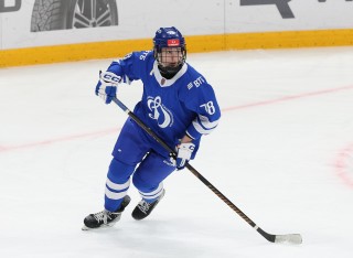 МХК Динамо Москва - ДИНАМО-ШИННИК