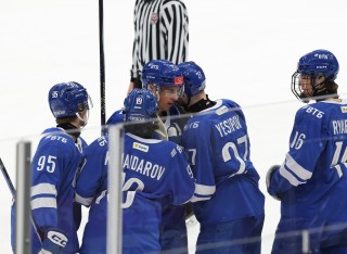 МХК Динамо Москва - ДИНАМО-ШИННИК