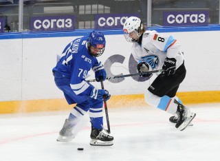 МХК Динамо Москва - ДИНАМО-ШИННИК