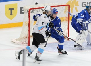 МХК Динамо Москва - ДИНАМО-ШИННИК