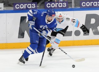 МХК Динамо Москва - ДИНАМО-ШИННИК