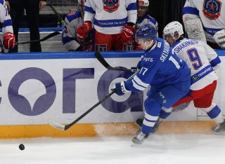 МХК Динамо Москва - АКМ-Юниор