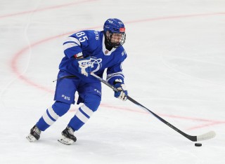 МХК Динамо Москва - Красная Армия