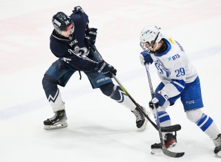 МХК Динамо Спб - МХК Динамо Москва