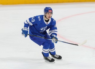 МХК Динамо Москва - Ирбис