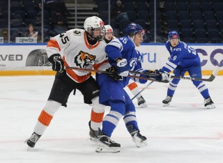 МХК Динамо Москва - Амурские Тигры