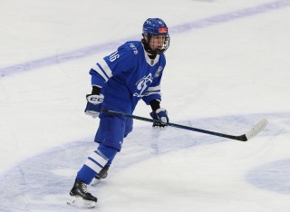 МХК Динамо Москва - ДИНАМО-ШИННИК