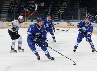 МХК Динамо Москва - ДИНАМО-ШИННИК