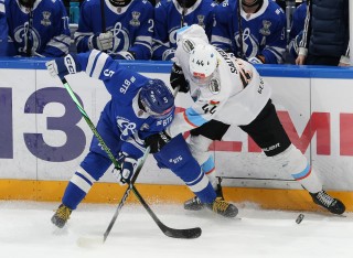 МХК Динамо Москва - ДИНАМО-ШИННИК