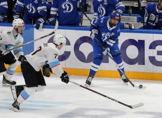 МХК Динамо Москва - ДИНАМО-ШИННИК