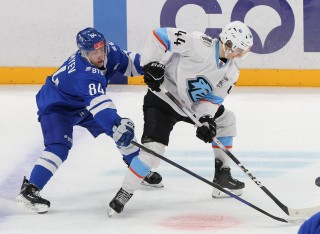 МХК Динамо Москва - ДИНАМО-ШИННИК