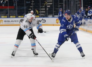 МХК Динамо Москва - ДИНАМО-ШИННИК