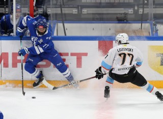 МХК Динамо Москва - ДИНАМО-ШИННИК