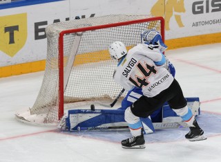 МХК Динамо Москва - ДИНАМО-ШИННИК