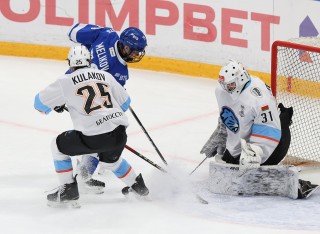 МХК Динамо Москва - ДИНАМО-ШИННИК